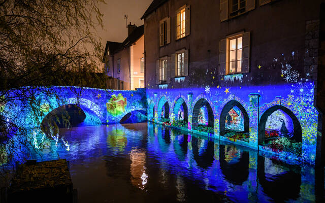 Chartres en Lumières